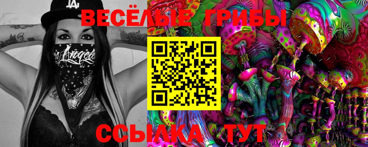 Псилоцибиновые грибы MAGIC MUSHROOMS  как найти закладки  Шарыпово  Вход с VPN  Галлюциногенные грибы ЛСД 